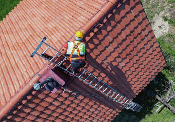 Best Solar Panel Roofing Installation  in Baldwin City, KS